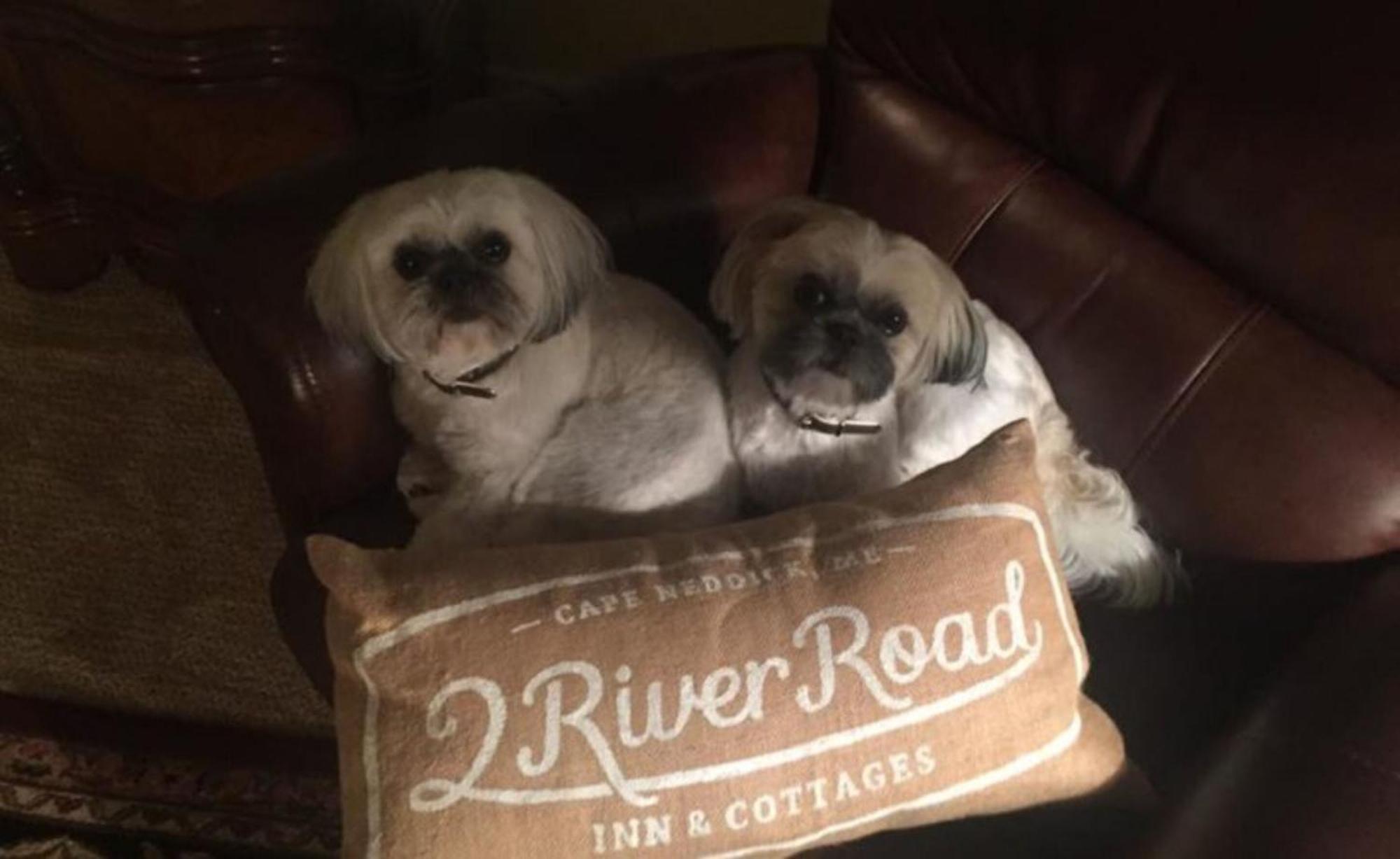 Cape Neddick 2 River Road Inn Cottages المظهر الخارجي الصورة